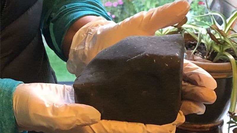 Shocking incident of meteorite falling in British Columbia, see some pictures