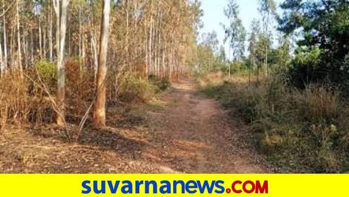 Real Estate lobby for Convert Jarkabandi Reserve Forest into Garden in Bengaluru grg Real Estate lobby for Convert Jarkabandi Reserve Forest into Garden in Bengaluru grg