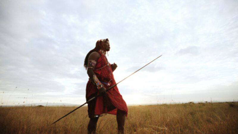 Kenya Maasai community like to drink cow blood