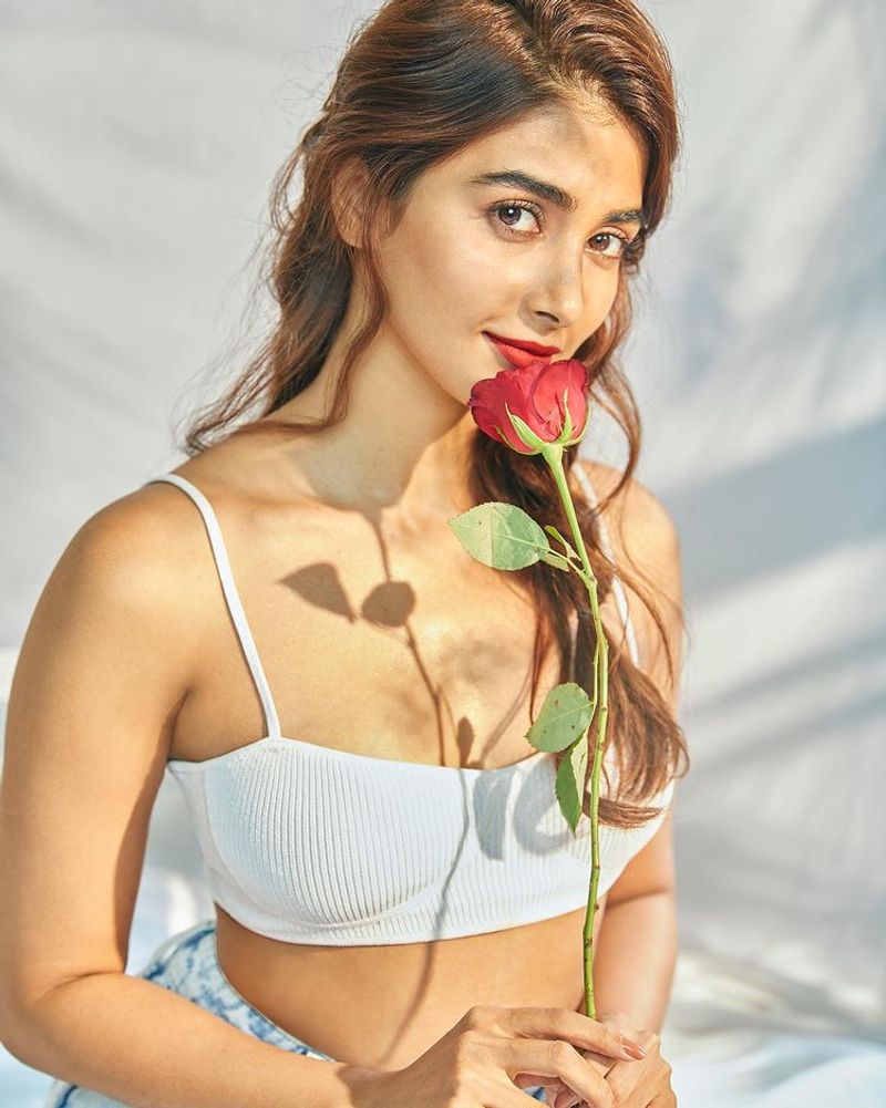 Thalapathy Vijay heroine Actress pooja hegde birthday celebration photos goes viral in internet