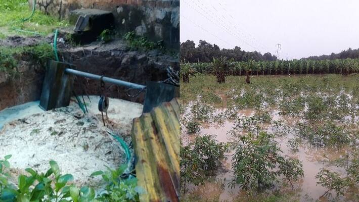 heavy rains inundated low lying Riverside areas and agricultural lands of Thiruvananthapuram heavy rains inundated low lying Riverside areas and agricultural lands of Thiruvananthapuram