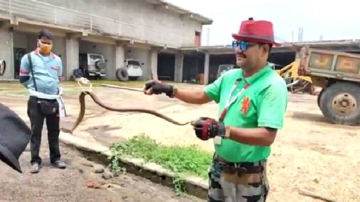 Snake Saver Ansari travels around the state with the message of not killing snakes bpsb Snake Saver Ansari travels around the state with the message of not killing snakes bpsb