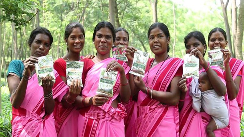 Now this state of central India will have tea-coffee cultivation Tea Coffee Board will be formed