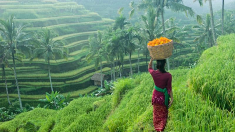 Indonesia Tidong Tribe couple is not allowed to go to the bathroom for 3 days after the wedding