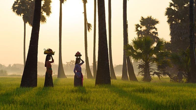 Indonesia Tidong Tribe couple is not allowed to go to the bathroom for 3 days after the wedding