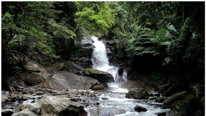 KeralaRains palakkad tourist places closed till october 25 th KeralaRains palakkad tourist places closed till october 25 th