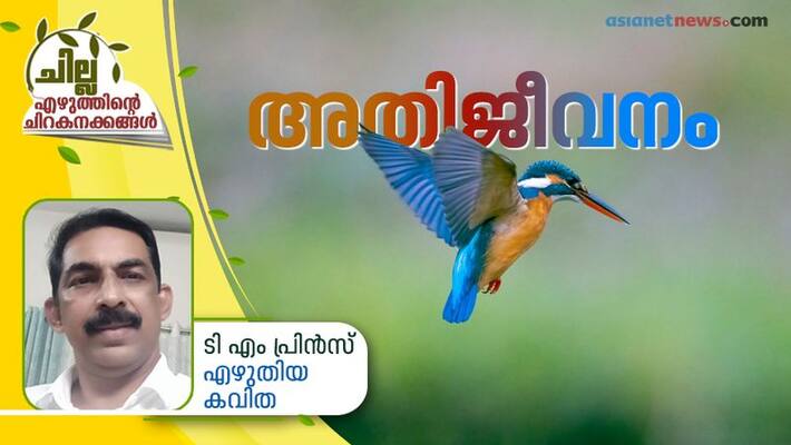 chilla malayalam poem by TM Prince chilla malayalam poem by TM Prince