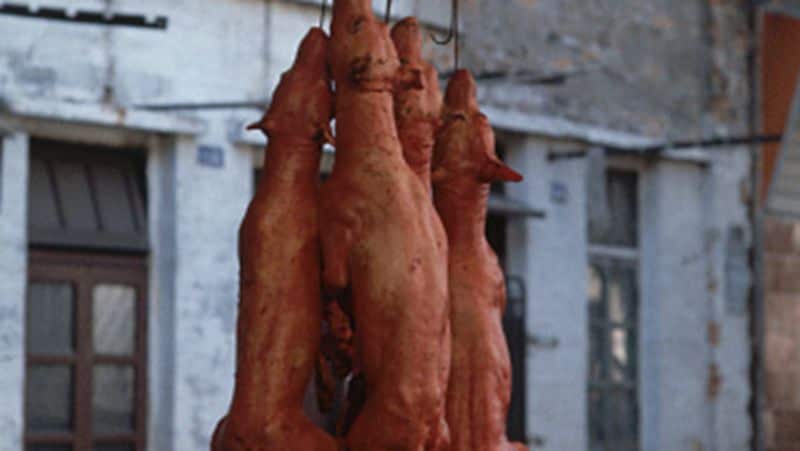 Indonesia dog meat images reveal true horror of trade