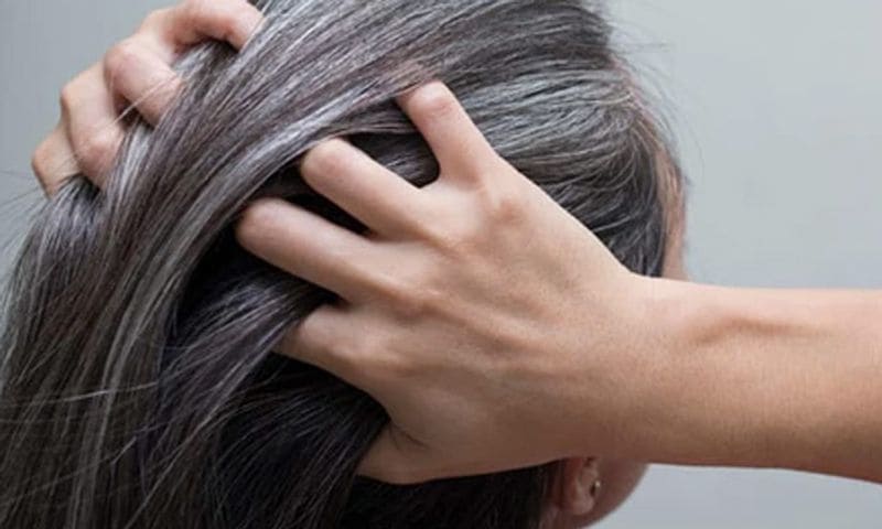 If you Gray hair in young age follow this tips to get healthy hair