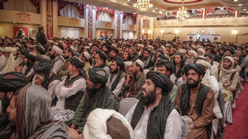 Taliban interior minister Sirajuddin Haqqani lauds suicide bombers