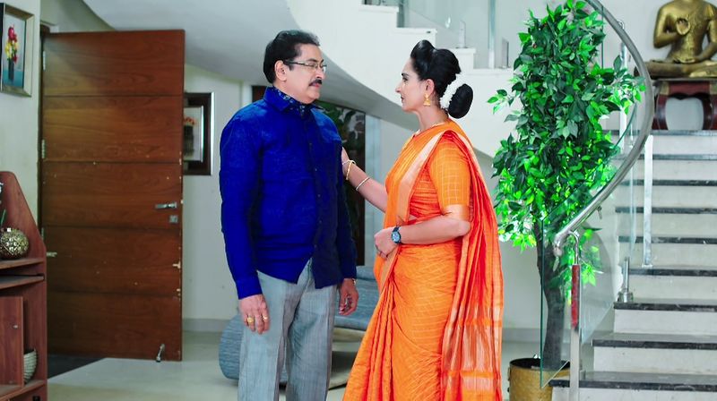 Hima shocking statements upset the family In todays karthika deepam serial episode