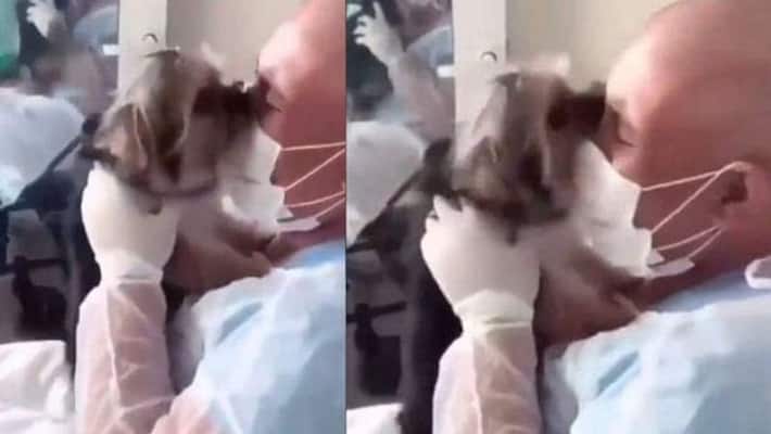 Woman meets pup after 40 days of cancer treatment it smothers her with kisses Woman meets pup after 40 days of cancer treatment it smothers her with kisses