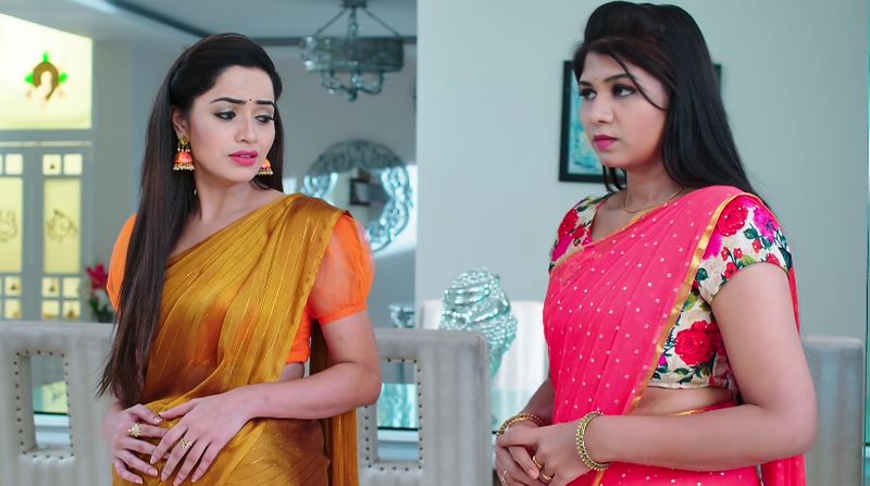 Deepa family panics about monitha is free from prison In todays karthika deepam serial episode