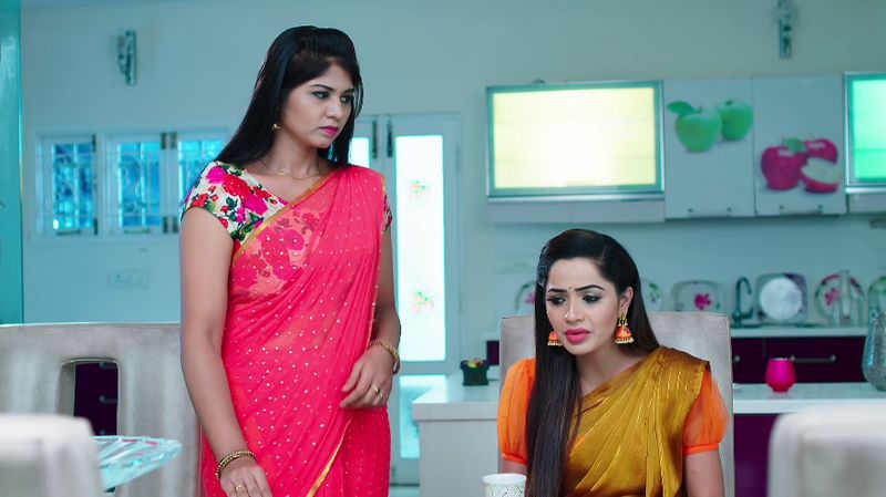 Deepa family panics about monitha is free from prison In todays karthika deepam serial episode