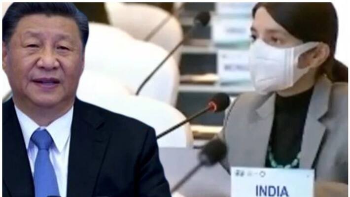 who is priyanka sohoni the fiery IFS Officer who kept whipping china in UN despite mic turned off who is priyanka sohoni the fiery IFS Officer who kept whipping china in UN despite mic turned off