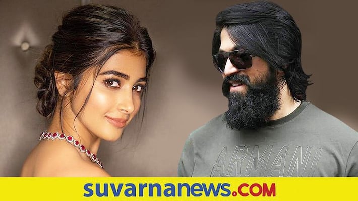 Tollywood Pooja Hegde interacts with Twitter followers says actor Yash is the best vcs Tollywood Pooja Hegde interacts with Twitter followers says actor Yash is the best vcs