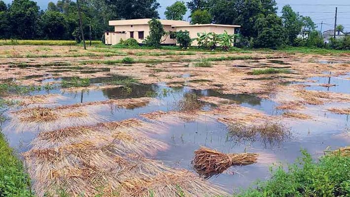 A Gang of Land mafia make unrest in Murshidabad bpsb A Gang of Land mafia make unrest in Murshidabad bpsb