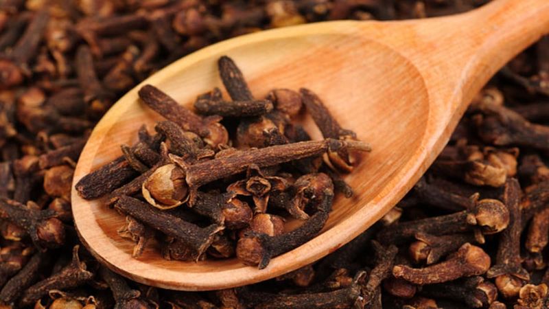 You want you loving person then do with 11 cloves you can get them with hypnotise