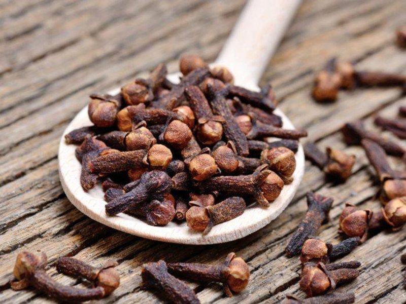 You want you loving person then do with 11 cloves you can get them with hypnotise