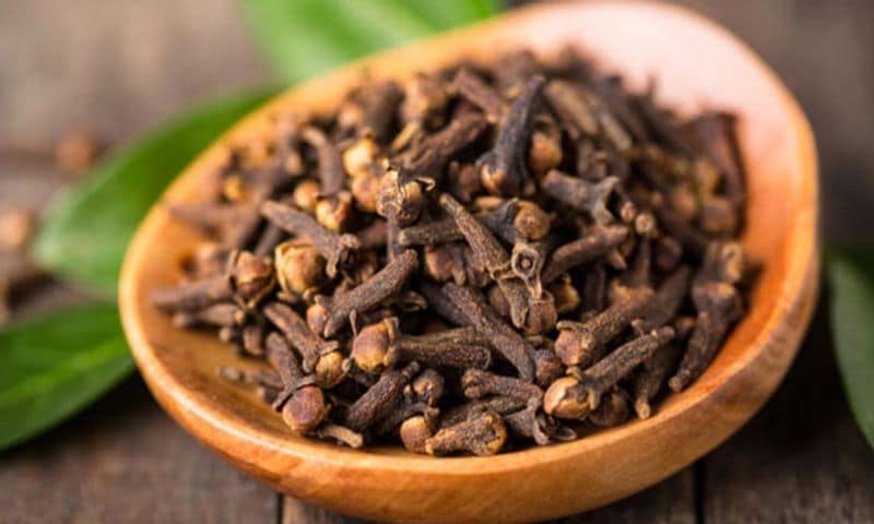 You want you loving person then do with 11 cloves you can get them with hypnotise