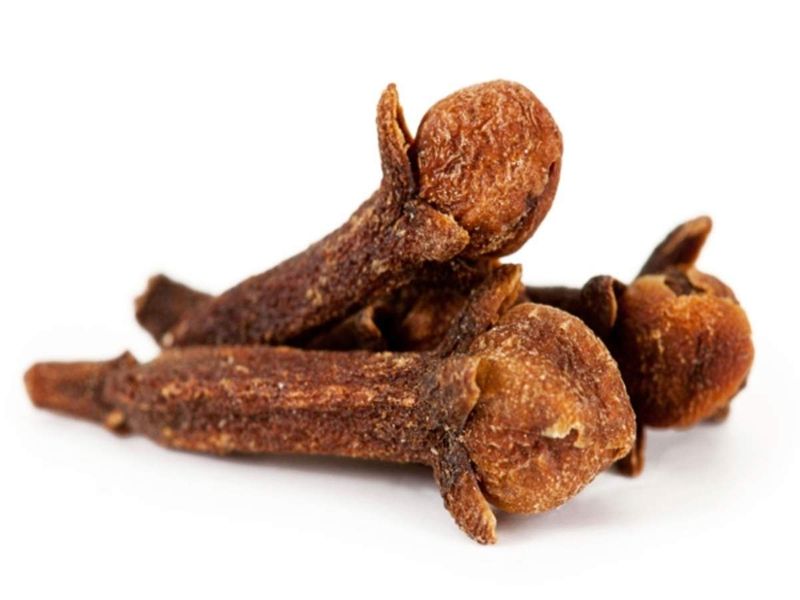 You want you loving person then do with 11 cloves you can get them with hypnotise