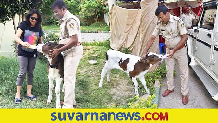 Heart Attack cow Lover Bengaluru Police Officer died mah Heart Attack cow Lover Bengaluru Police Officer died mah