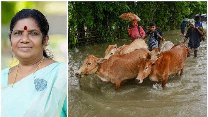 minister j chinchurani said that the floods have caused a loss of rs 2 crore to the animal husbandry sector in the state minister j chinchurani said that the floods have caused a loss of rs 2 crore to the animal husbandry sector in the state