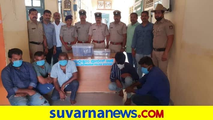 bengaluru-cops-arrest-5-for-smuggling-sperm-whale-ambergris-mah bengaluru-cops-arrest-5-for-smuggling-sperm-whale-ambergris-mah