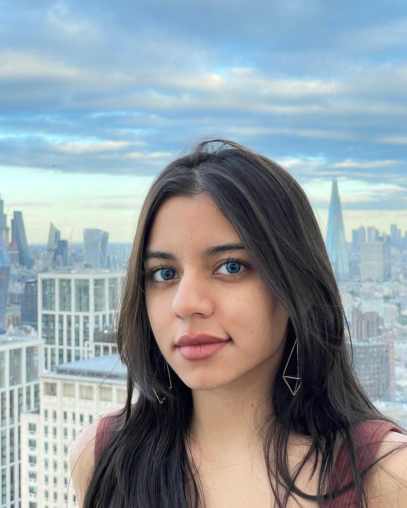 shahrukh daughter suhana khan in trending netizens setires on twins daughters