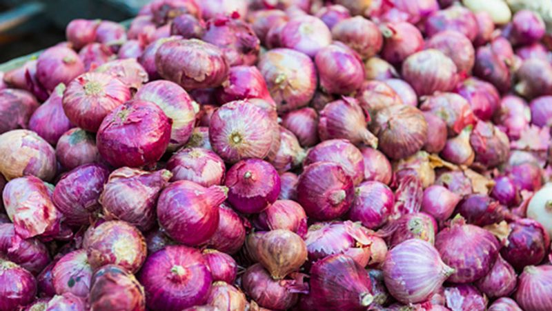 America infection spread due to onion and 650 people got sick