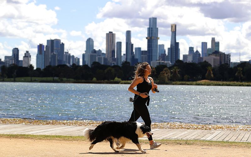 if put pets on vegetarian diet owners face jail and 20000 pound