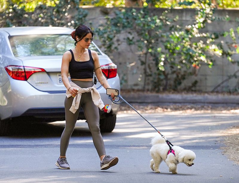 if put pets on vegetarian diet owners face jail and 20000 pound