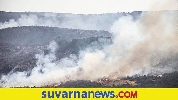 24 people charged with lighting wildfires executed in syria 24 people charged with lighting wildfires executed in syria
