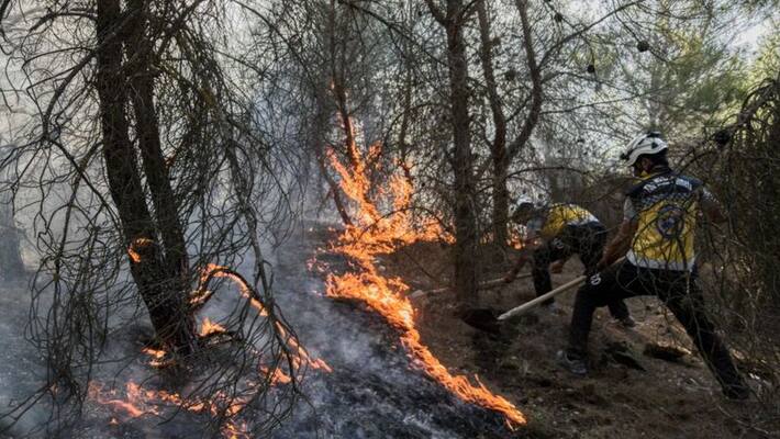 Syria executed 24 for igniting 2020 wildfires Syria executed 24 for igniting 2020 wildfires