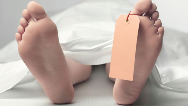 Colombia Two children died after eating fruit in a garden