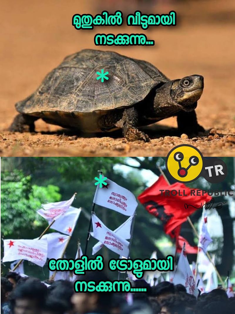 troll on asif attacked by sfi in mg university campus