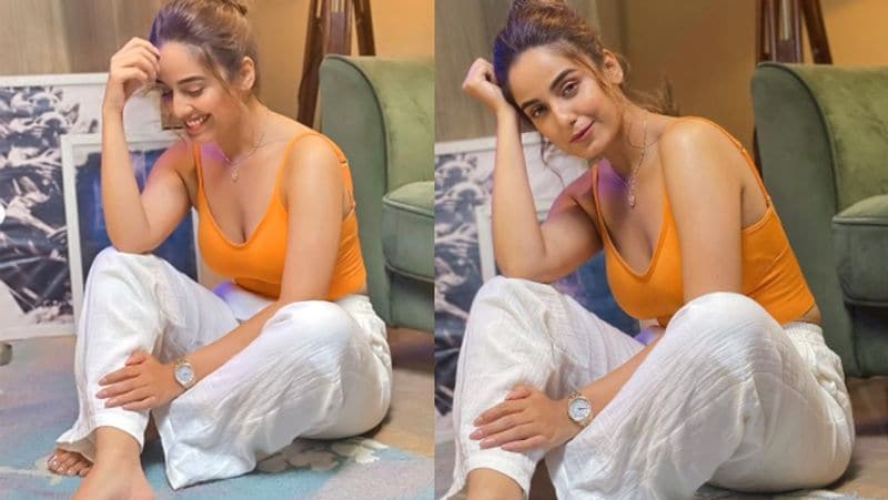Bigg Boss ex contestant Srishty Rode gets trolled for her picture posted on Social Media