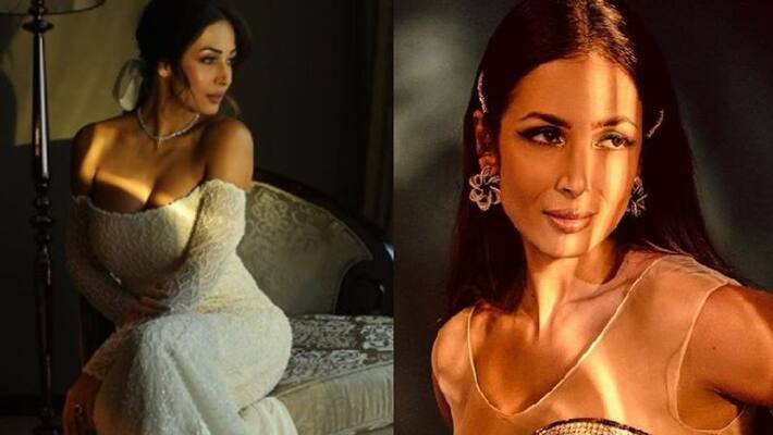 know malaika aroras dedication towards fitness on her 48 birthday know malaika aroras dedication towards fitness on her 48 birthday