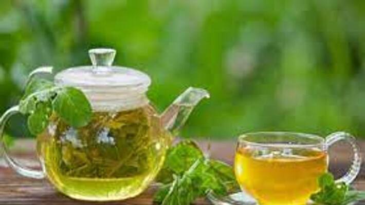 Green tea is equally effective in reducing belly fat and controlling hair fall BDD Green tea is equally effective in reducing belly fat and controlling hair fall BDD