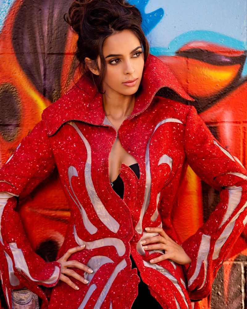 PHOTOS 5 times birthday girl Mallika Sherawat looked glamorous in western outfits SCJ