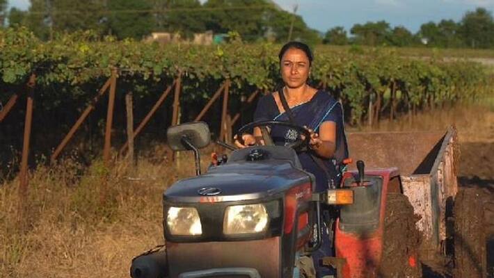 Sangita Pingle agriculture success story Sangita Pingle agriculture success story