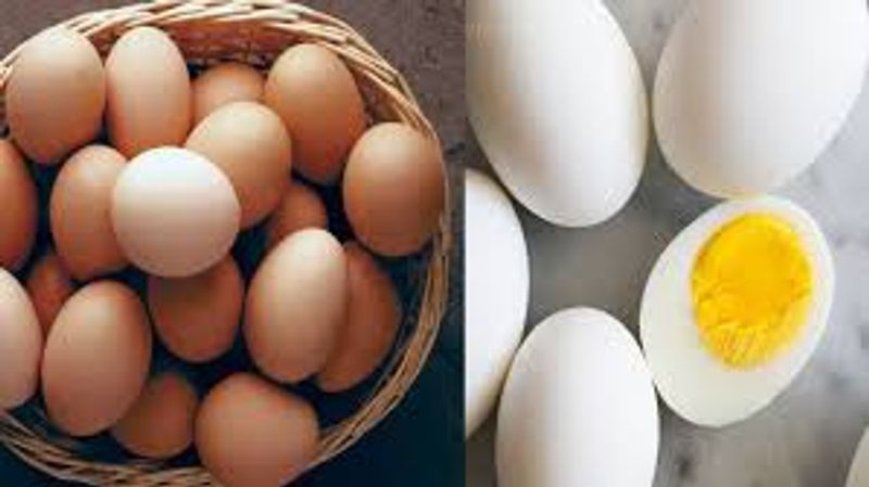 How many eggs should eat per day if we eat more what will happen