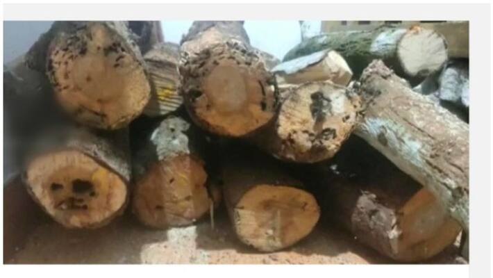 Sandal wood worth lakhs stole from Nedumkandam Sandal wood worth lakhs stole from Nedumkandam