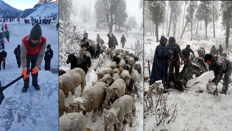 weather alert, heavy snowfall in kashmir and uttarakhand,see some pictures