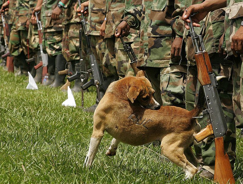 Colombia captures Otoniel drug kingpin and mafia leader