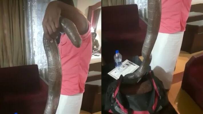 Four arrested with Iruthalamuri Western blind snake in Shaktan Nagar Thrissur Four arrested with Iruthalamuri Western blind snake in Shaktan Nagar Thrissur