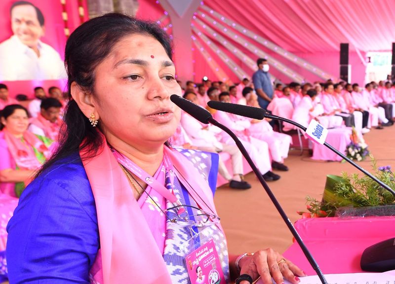 Hyderabad Hitex turns pink for TRS plenary
