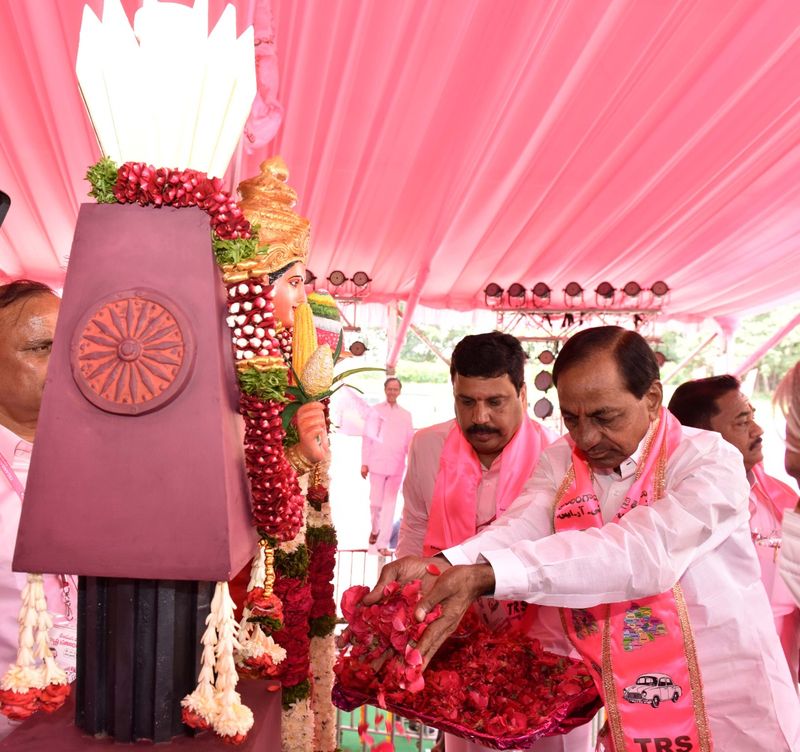 Hyderabad Hitex turns pink for TRS plenary