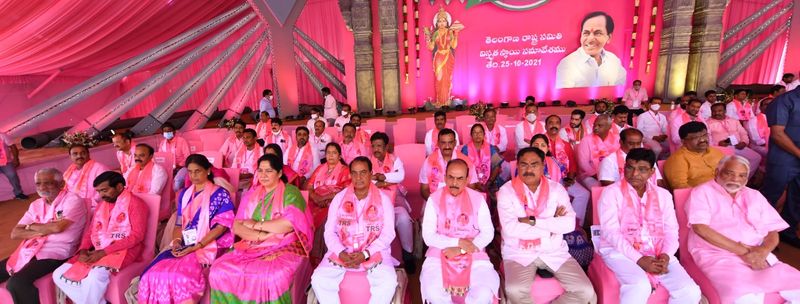 Hyderabad Hitex turns pink for TRS plenary