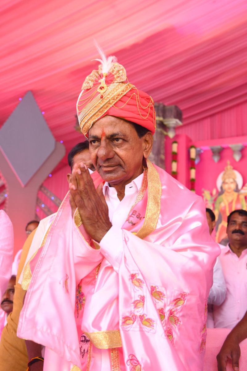 Hyderabad Hitex turns pink for TRS plenary